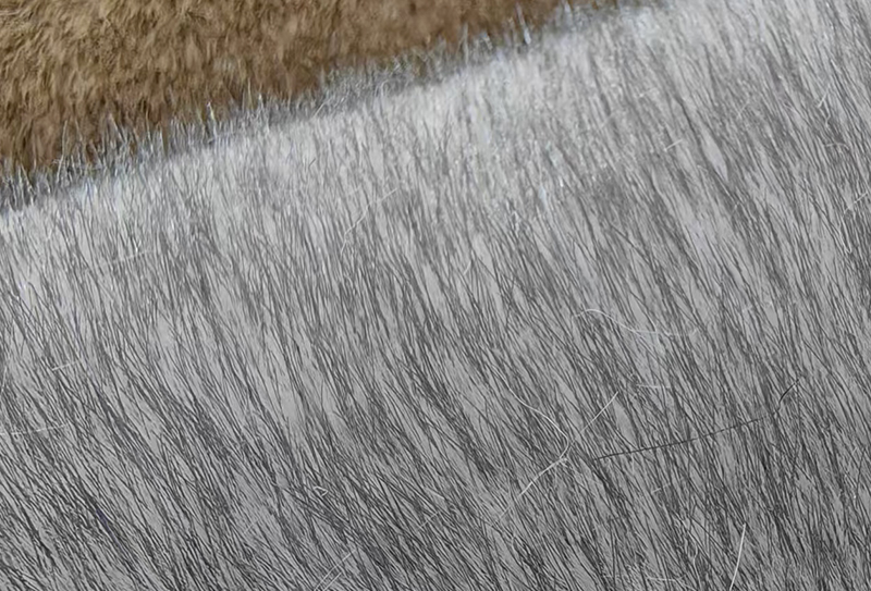 1200 mg * 185 cm Tecido de imitação de pele de raposa catiônica de duas cores 1200 mg * 185 cm Tecido de imitação de pele de raposa catiônica de duas cores
