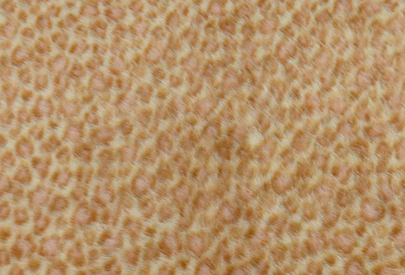 Tecido de vison falso com estampa de leopardo europeu de 160 mm de largura Tecido de vison falso com estampa de leopardo europeu de 160 mm de largura